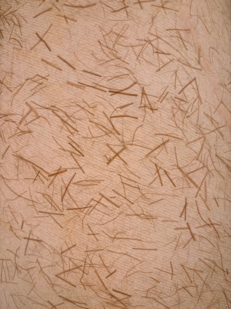 KT012