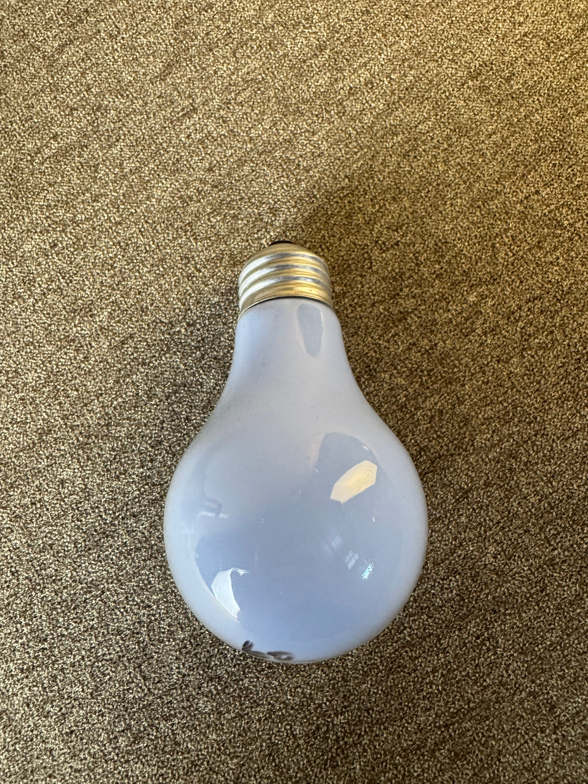 Bulb009