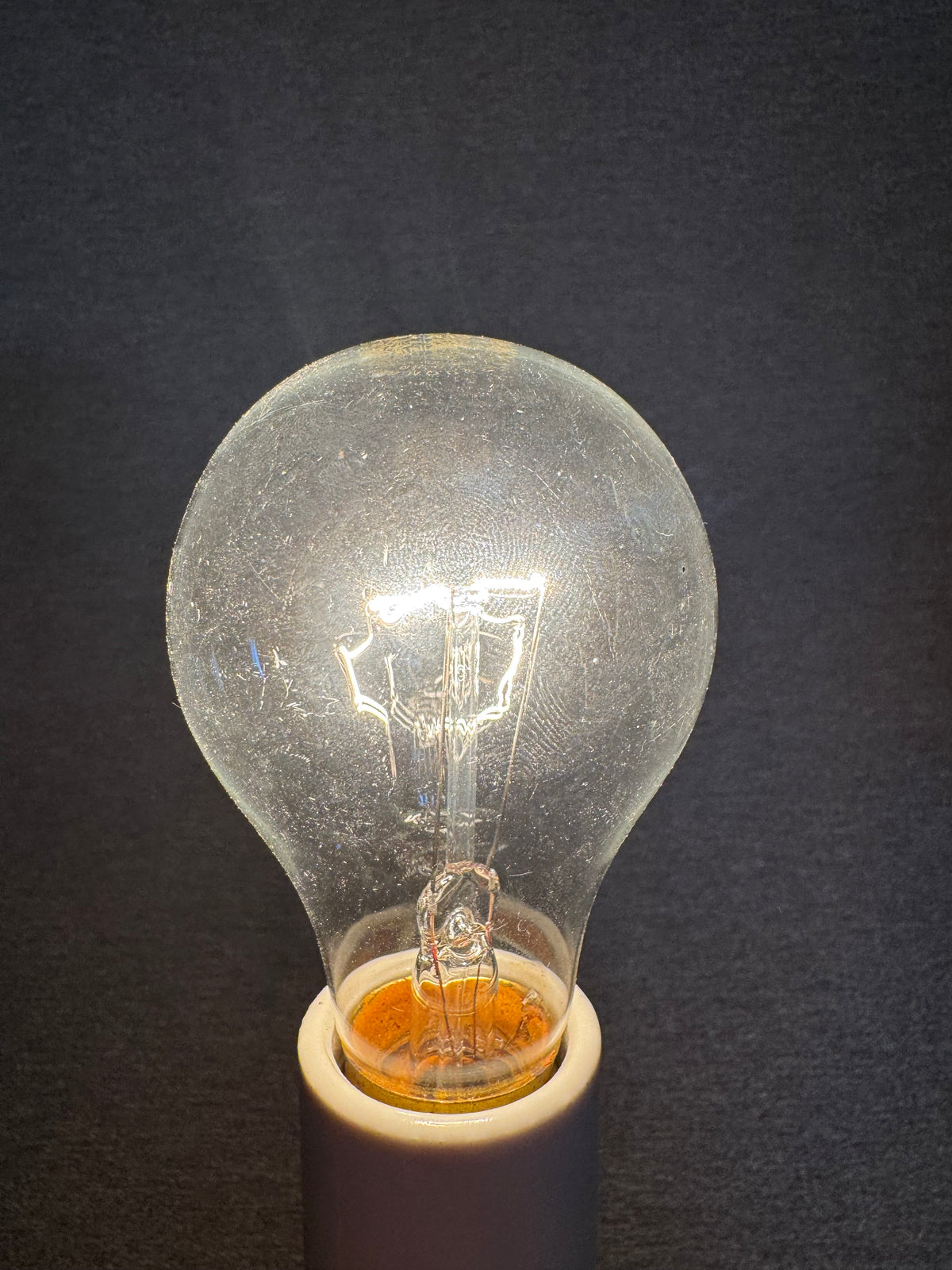 Bulb008