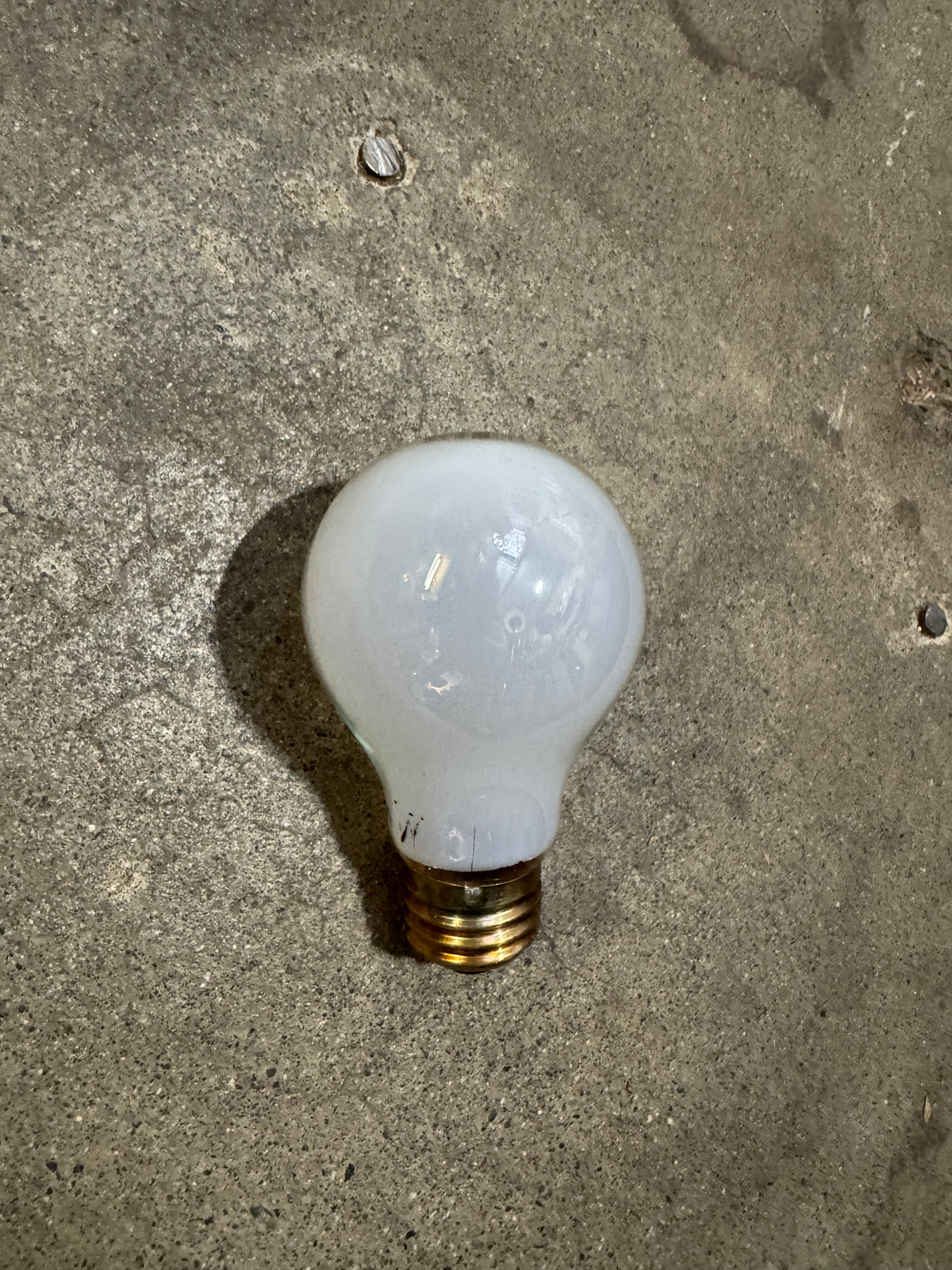 Bulb006