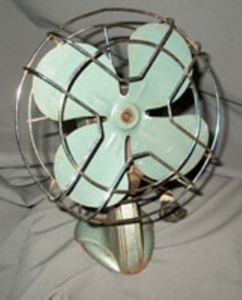 FAN019