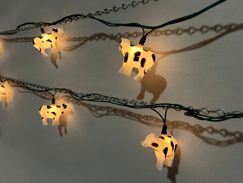 String Lights