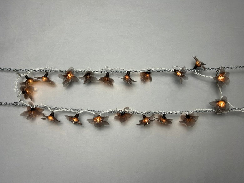 DS129
