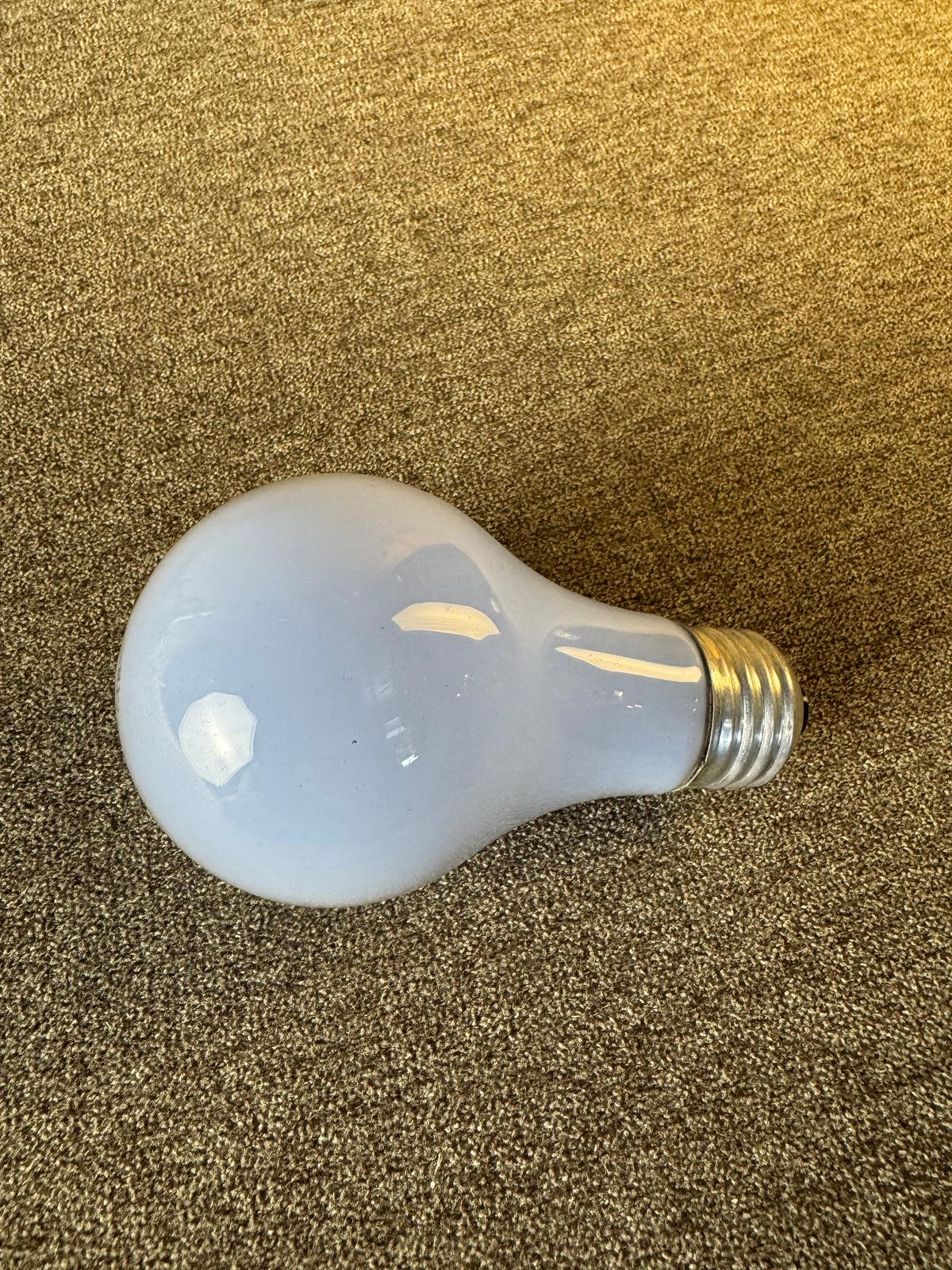 Bulb009