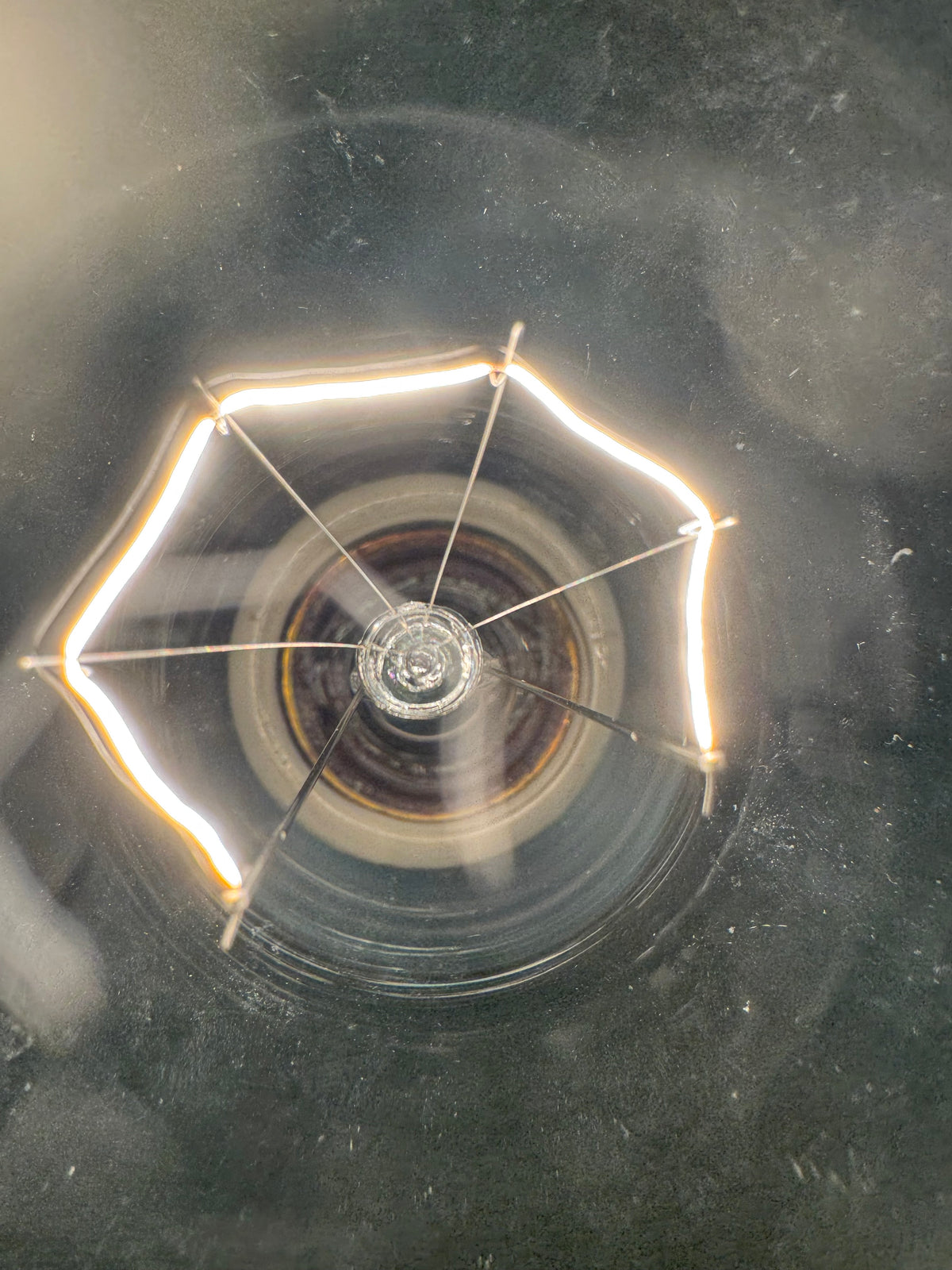 Bulb007