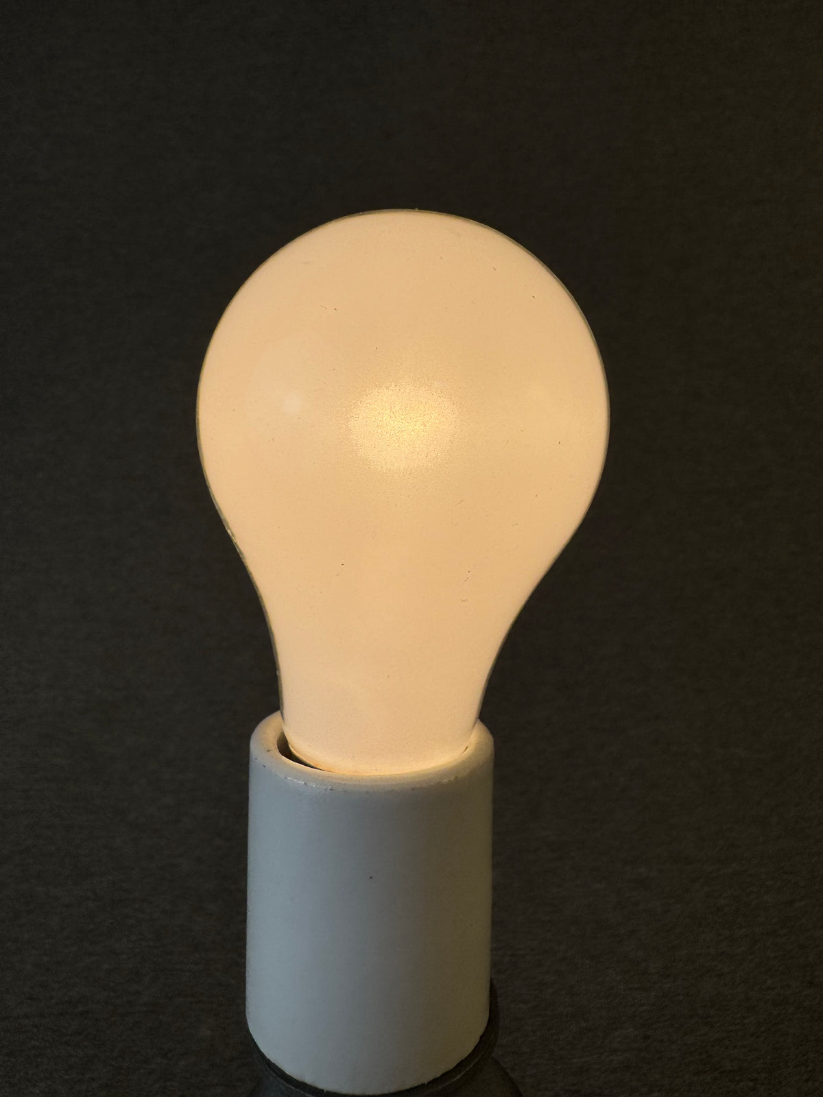 Bulb004