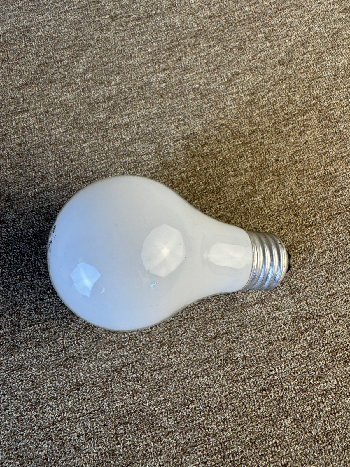 Bulb004