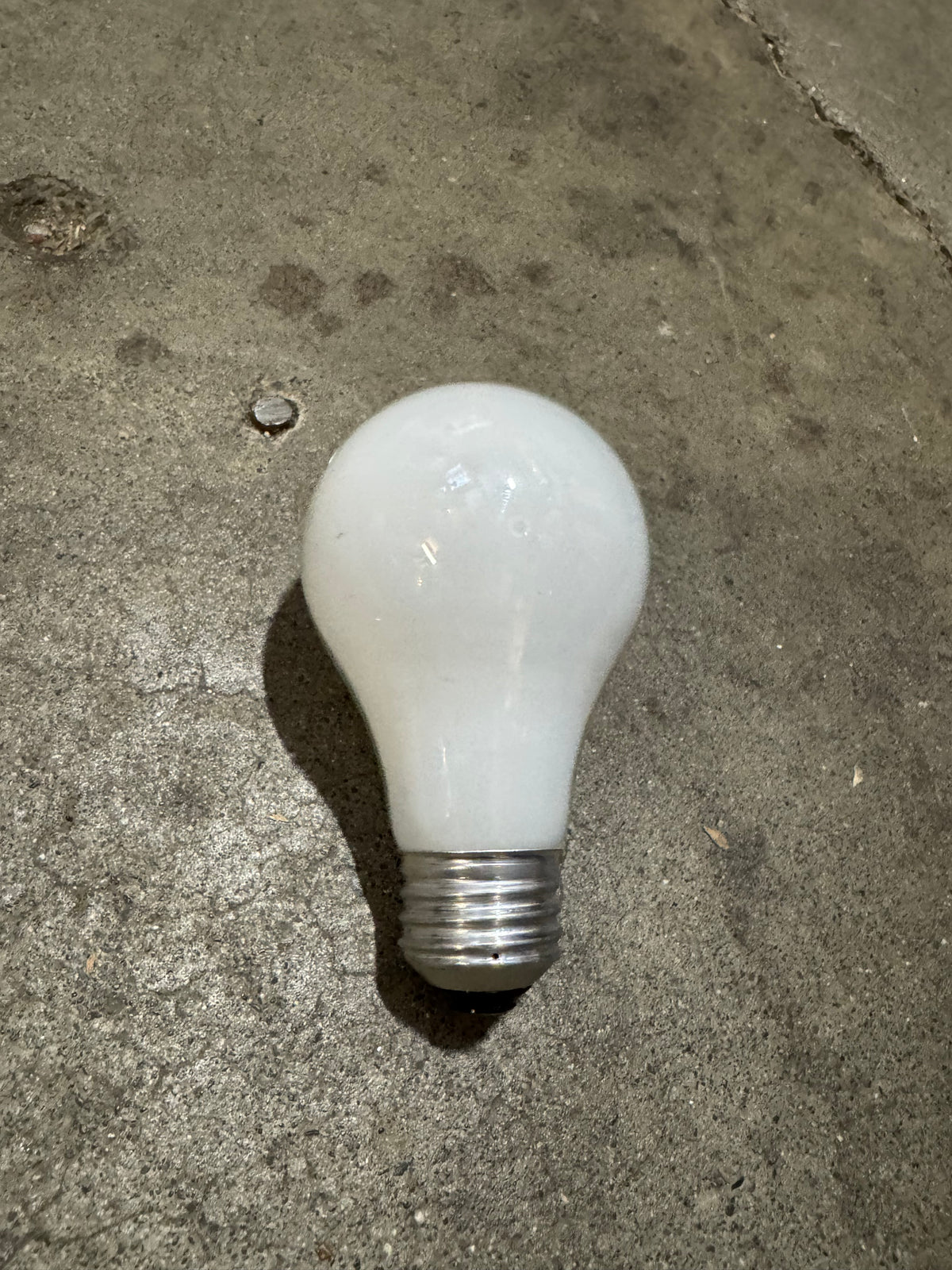 Bulb004