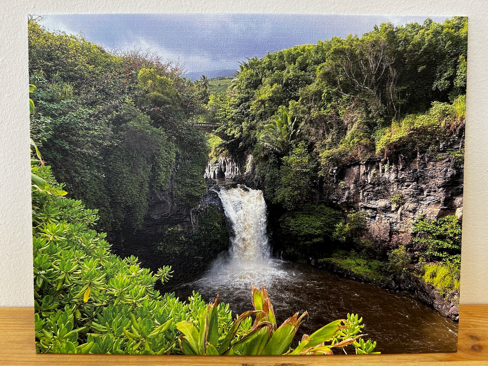 Standard canvas prints