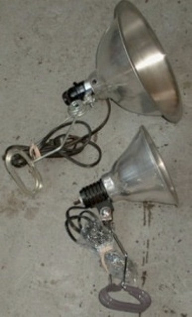 INDH 27