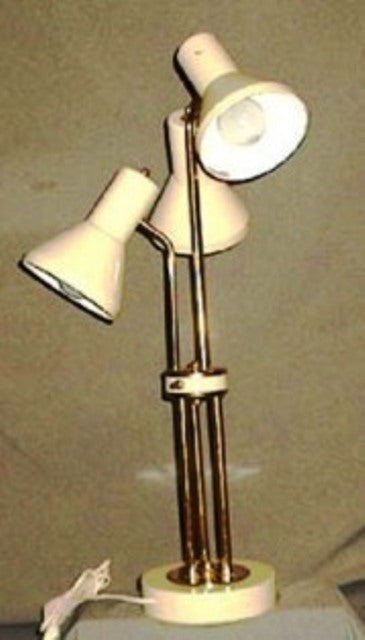 TT446